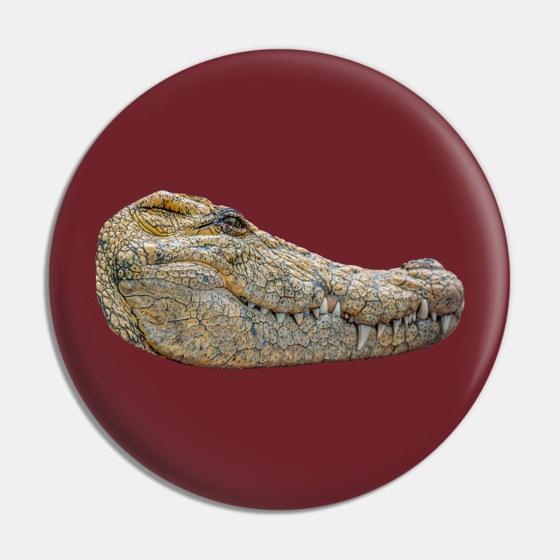 Alligator head Pin by dalyndigaital2@gmail.com