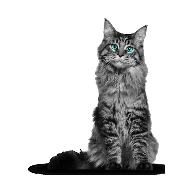 Cats Cat Onesie Teepublic