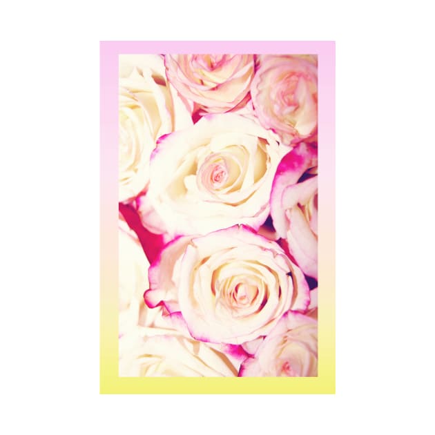 Gradient Roses by CecilieKaroline