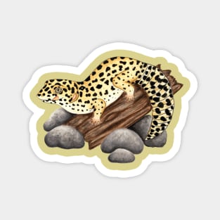 Leopard Gecko on Log Magnet