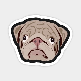 Pug looking silly and goofy Magnet