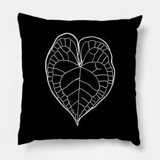 Anthurium clarinervium Pillow