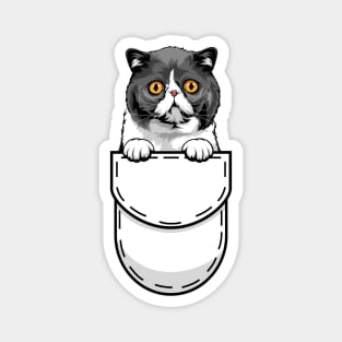 Funny Exotic Shorthair Pocket Cat Magnet