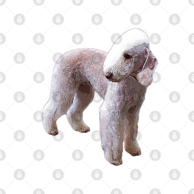 Bedlington Terrier by ElegantCat