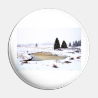 A Winter Scene Pin