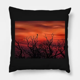 THE PEREGRINE SUNSET Pillow