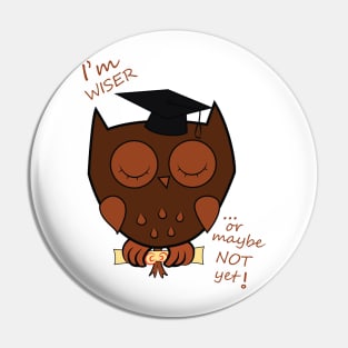 Wiser Sleeping Owl Pin