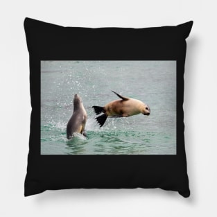 Playful Sea Lions, Baird Bay SA Pillow