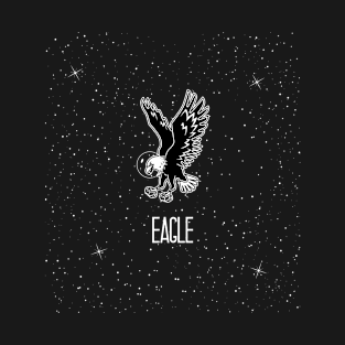 Space EAGLE-BALD EAGLE IN SPACE T-Shirt