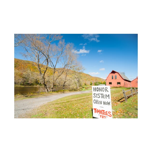 Honor system sign for tomatoes in rural New England beside an American style red barn by a river. by brians101