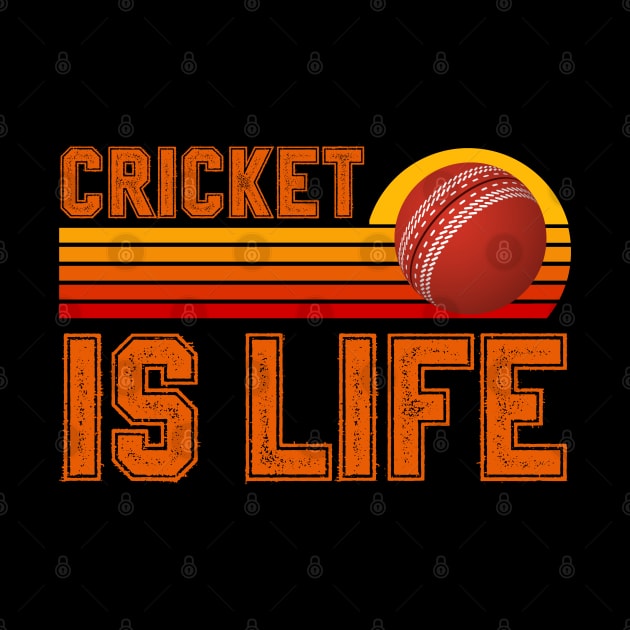 Cricket Is Life by footballomatic