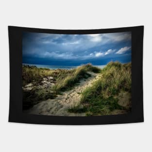 Storm beyond the dune Tapestry