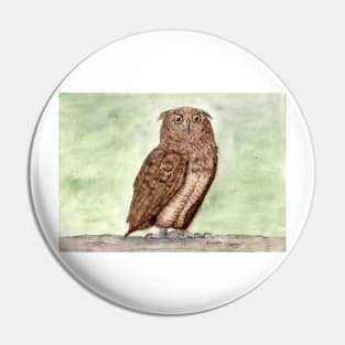 Owl spirit animal Pin