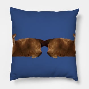 2 Cats Pillow