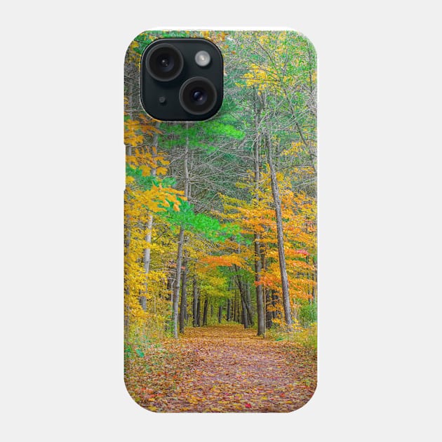 Could it be Autumn Phone Case by BrianPShaw