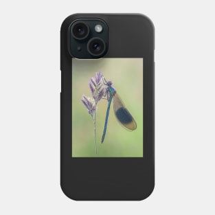 Banded Demoiselle on a Grass Stalk Phone Case