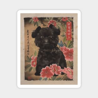 Affenpinscher Dog Portrait Edo Period Japan Style Magnet