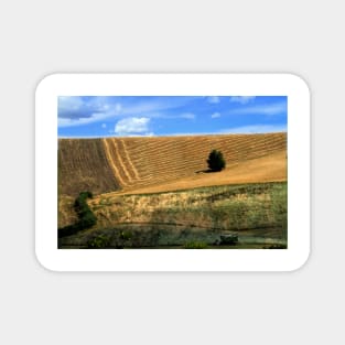 Hills in the Marche Magnet