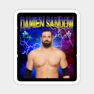 DAMIEN SANDOW Magnet