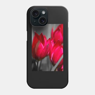 Vibrant tulips Phone Case