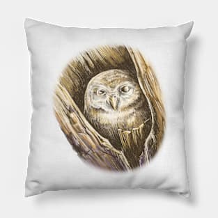 The owl Pillow