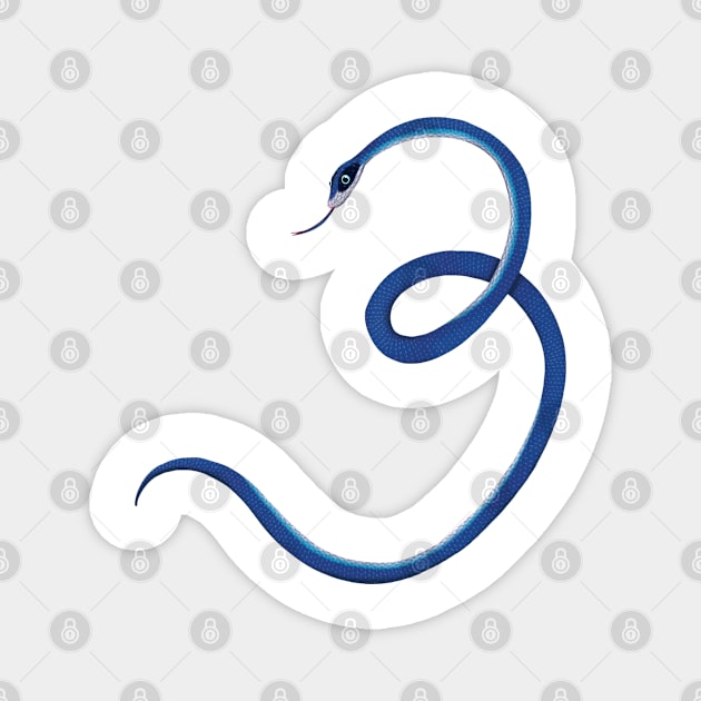 3 - Blue racer snake Magnet by miim-ilustra