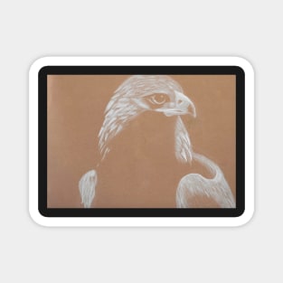 Golden Eagle Magnet