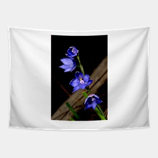 Sun Orchid Quartet Tapestry