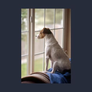 Jack Russell lLooking out the Window T-Shirt