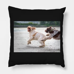 Playtime on the beach Spinoni Pillow