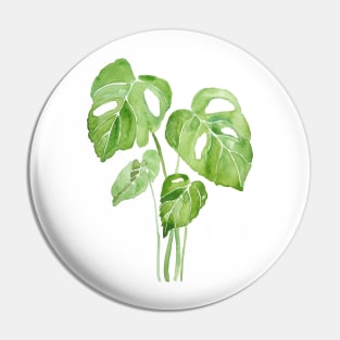 green monstera leaf watercolor Pin