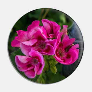 Blooms in the garden Pin