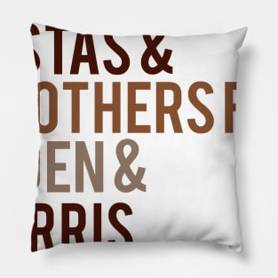 B&S for Biden& Harris Pillow