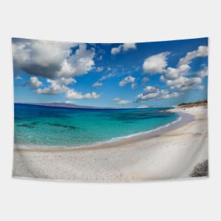 Kastraki beach of Naxos island in Cyclades, Greece Tapestry