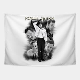 Joseph Quinn Joe Quinn Actor Tapestry