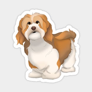 Havanese Dog Color 3 Magnet