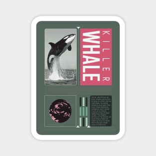 KILLER WHALE_7 Magnet