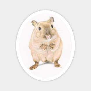 Hamster, coloured pencil drawing Magnet