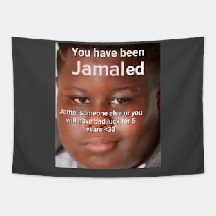 I Heart Jamal Did It Funny Meme Tapestry