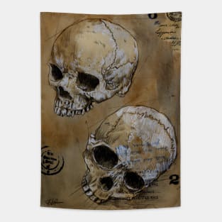 Twin skull study Tapestry