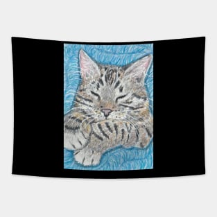 Tabby cat Tapestry