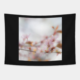 Cherry Blossom Tapestry