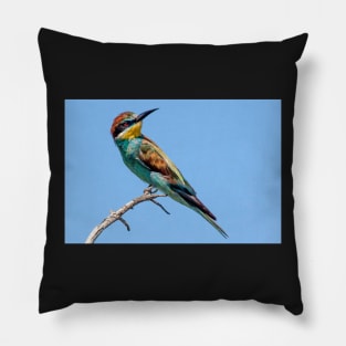 European Bee-eater, South Africa Pillow