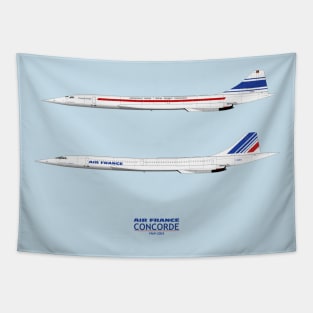 French Concorde Tapestry