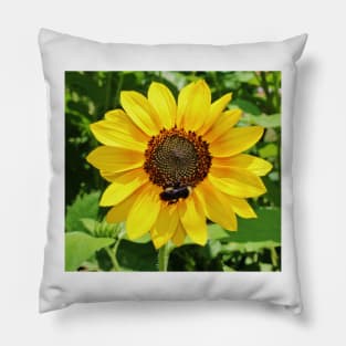 Pollen Queen Pillow