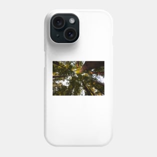 Redwoods trees and sky Phone Case