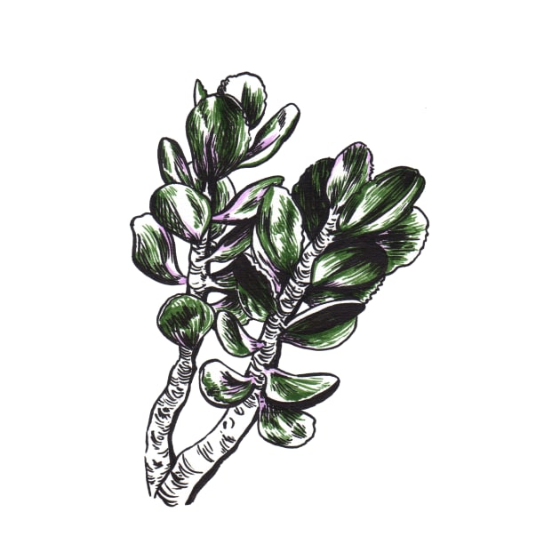 Plant Drawing by srw110