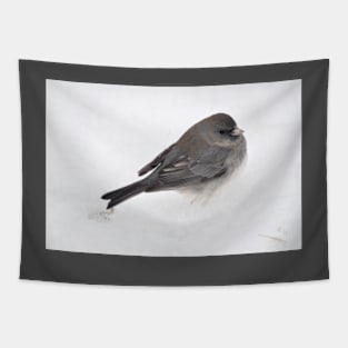 Winter Snow Bird 1 Tapestry