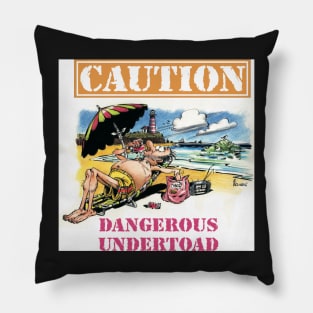 Ocean dangers Pillow