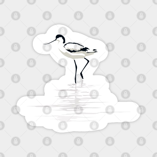 Pied Avocet on White Background Magnet by AnthonyZed